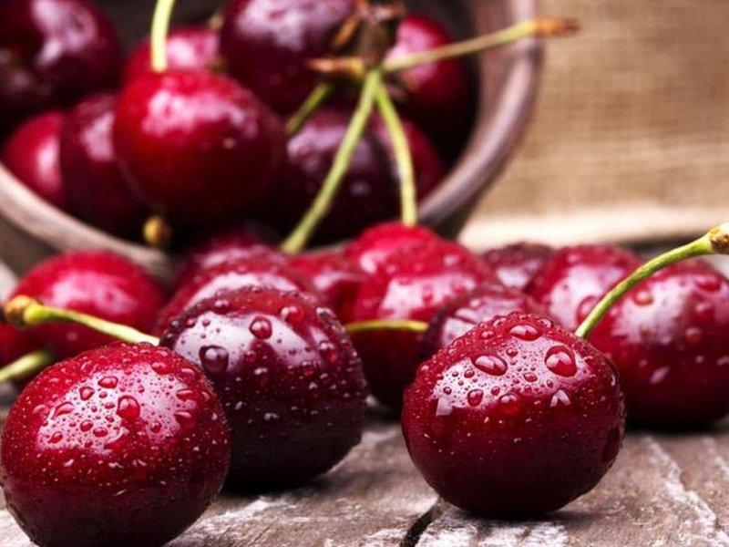 Вишня купить саженцы из питомника в Орехово-Зуево